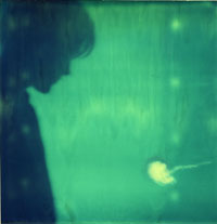 ryanjellyfish