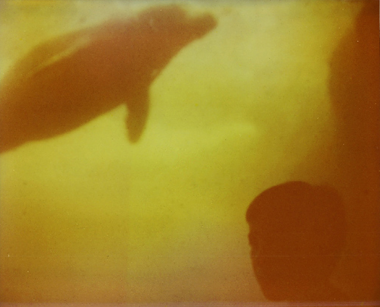 yellowaquarium.jpg