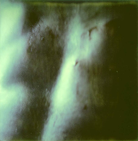 stomach