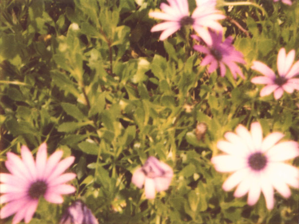 15_331.jpg