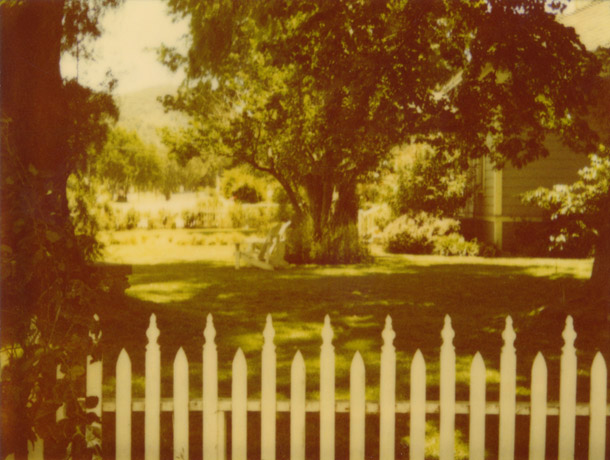 23b_436.jpg